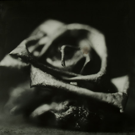 Serenity, 2007, 65 x 65cm, vintage silver barite, € 4.150,-